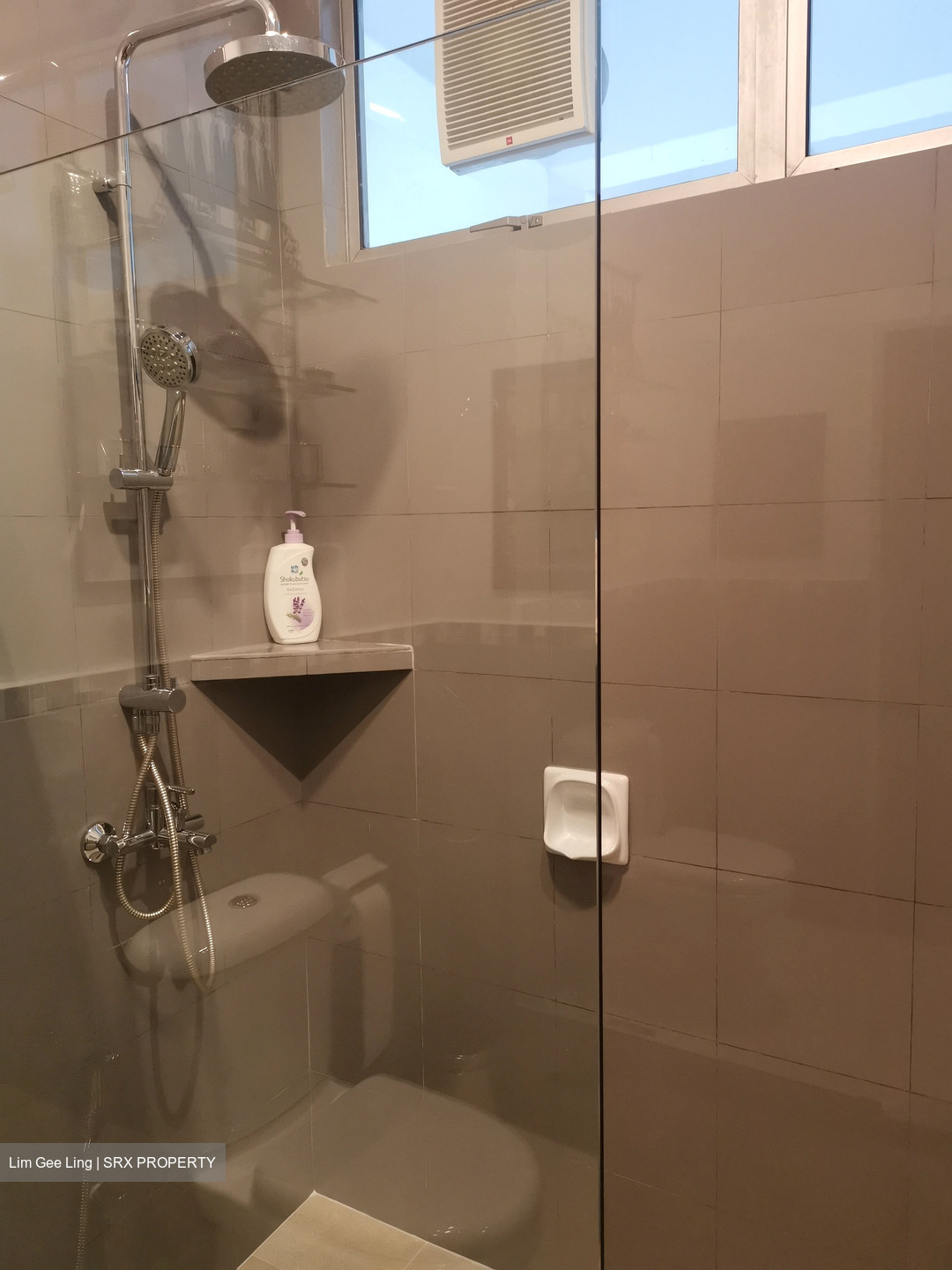 Clementi Park (D21), Condominium #514578721